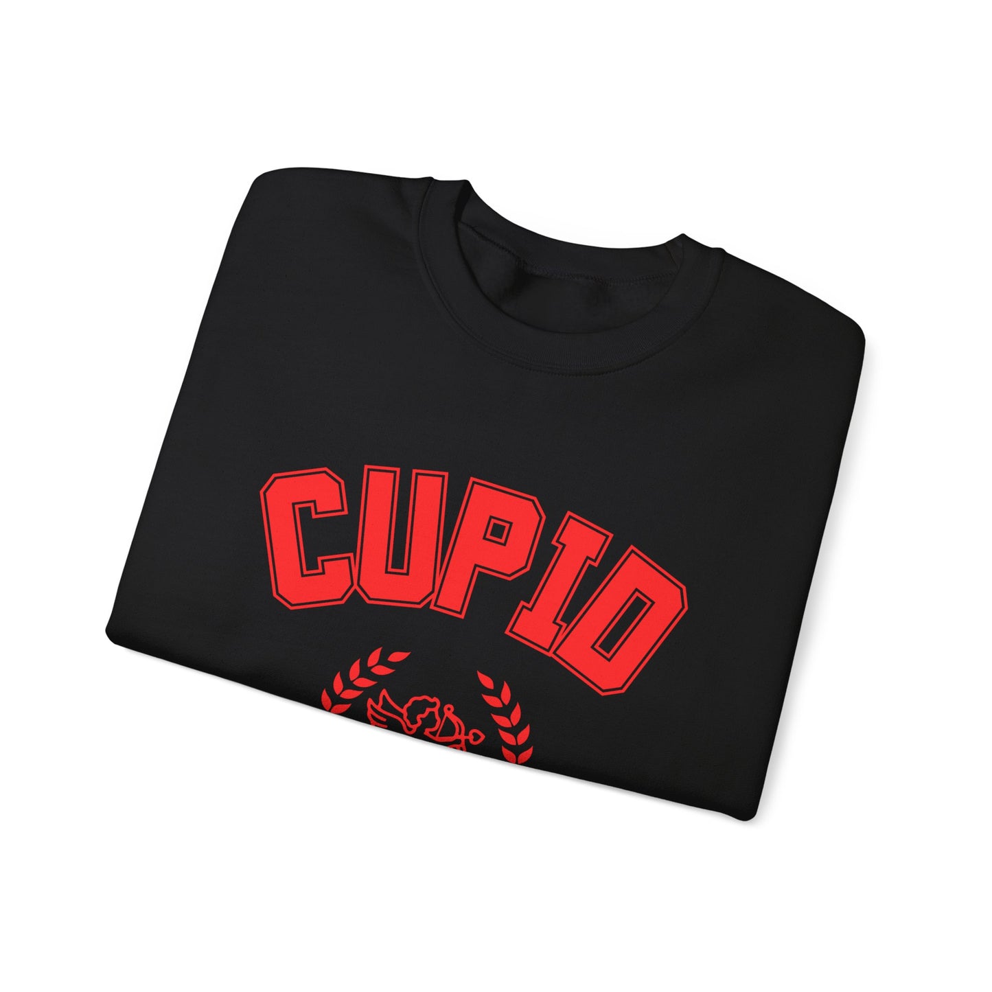 Cupid University Sweatshirt